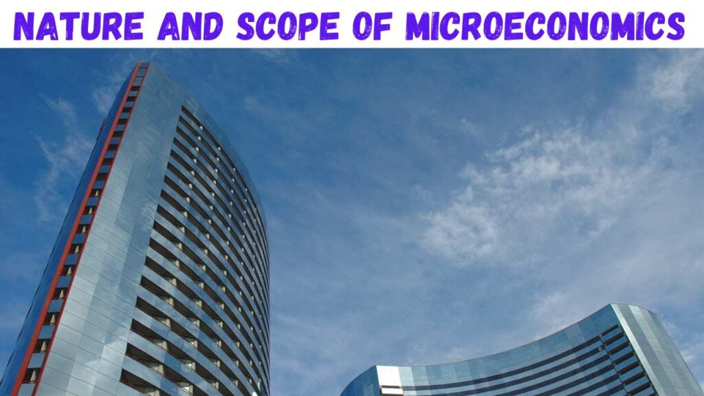 nature and scope of microeconomics