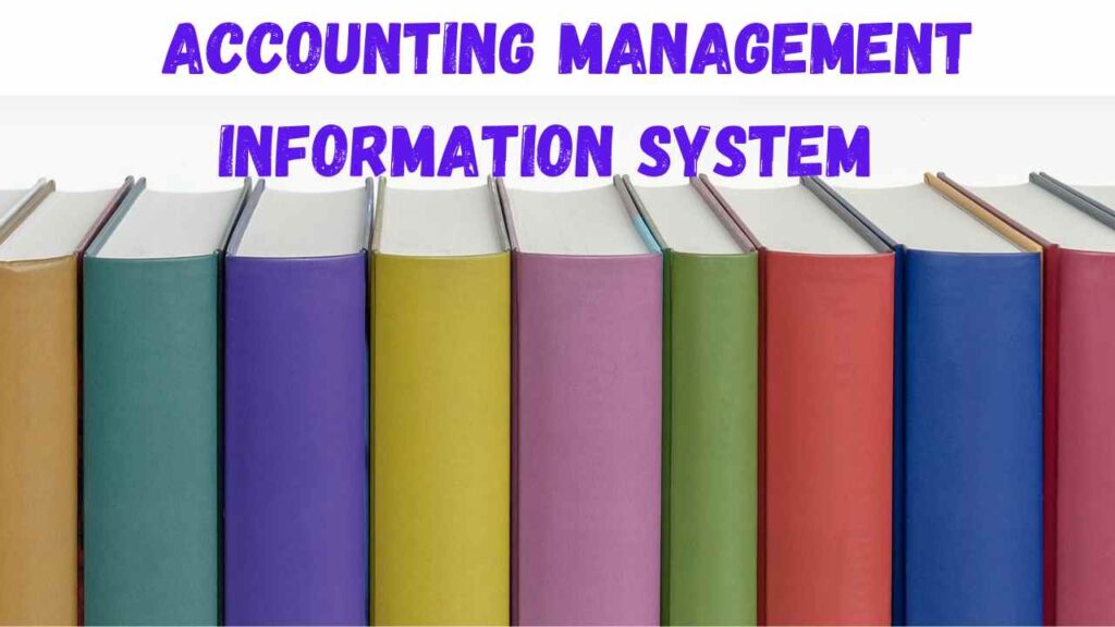 Accounting management information system