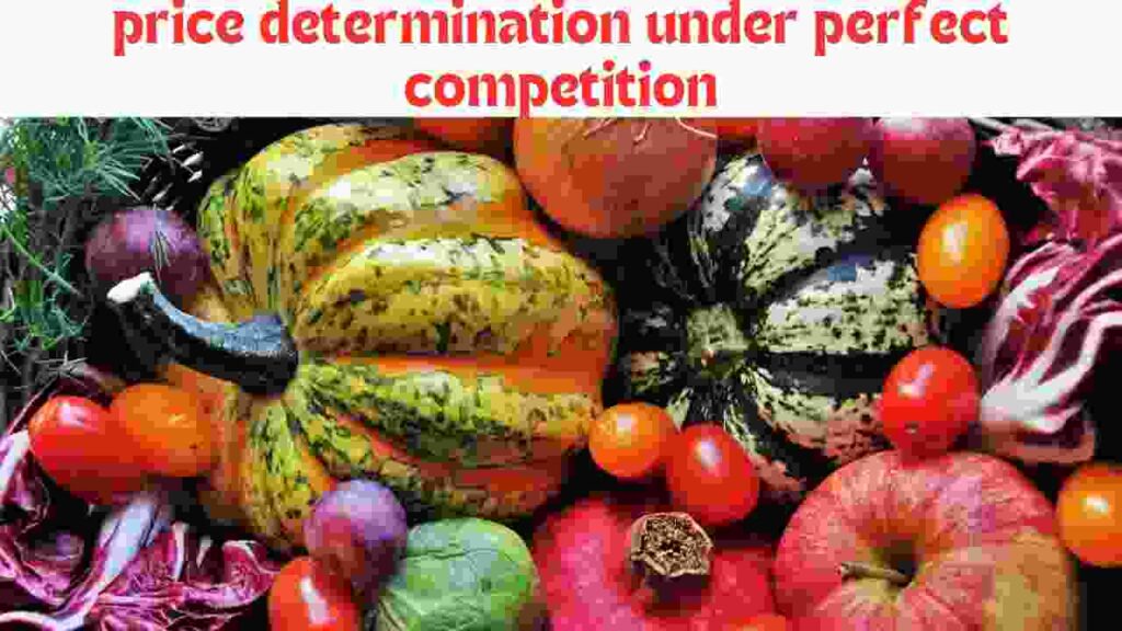 price determination under perfect competition